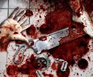 murder in himachal