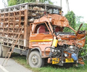 30-died-in-asam-accident