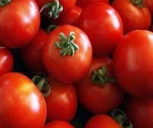 frozen tomato available on safal outlets.
