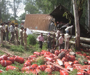 three burnt alive in road accident
