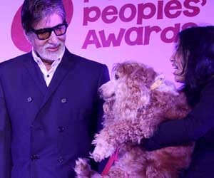 amitabh bachchan, lover, sujoy ghosh