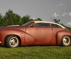 Car covers entire vehicle in bison skin