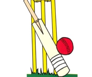 Inter-collegiate cricket tournament