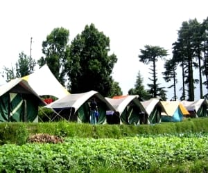 dhanaulti is a perfect tourist place
