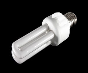 Bulbs (CFLs) rent is 200 Rs per day