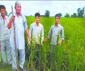 Land Acquisition bill pass