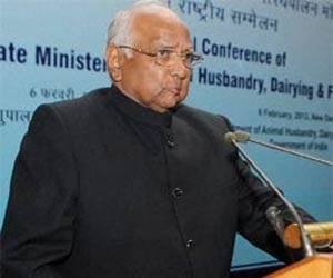 sharad pawar ncp will attack on congress