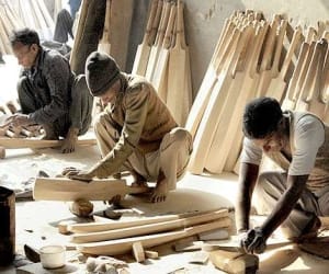 Himachal Will give Uttarakhand the clones of Saliks willow  