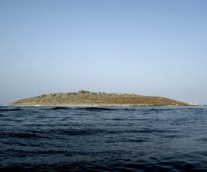 Bhuj earthquake in 1819 was made ??island