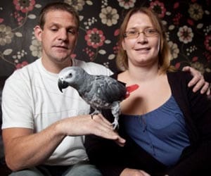 Family left speechless as their new parrot starts swearing