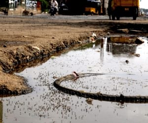 Dengue spread in Haridwar