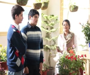 dehradun show on another bollywood movie