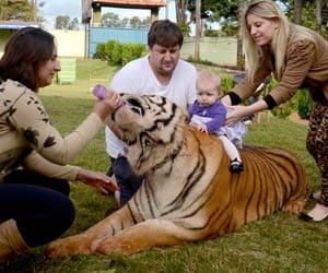 Meet The Family Who Share Their Home With Seven Pet TIGERS