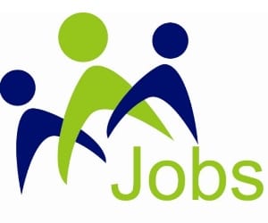 Government College-46 Job Fest