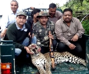 joy killed maneater leopard
