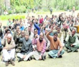 government jobs recruitment fraud Picketing 