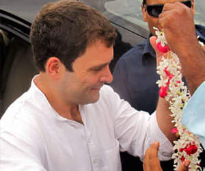 rahul gandhi started election campaign