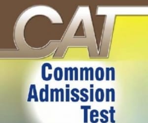 cat examination in city