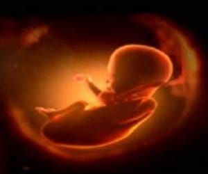 aborting a foetus because it is female!