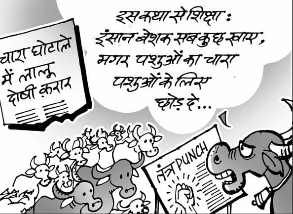 fodder scam