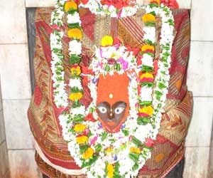 celibate faithful to worship on Shaktipeeth