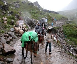 bad weather and heavy snow fall in kedarnath
