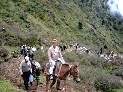 kedarnath yatra will be 20 kilometer