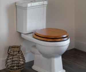 UP minister wants bathroom with toilet.