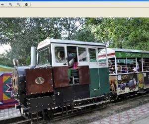 toy trains started agains in zoo