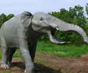 elephant_village