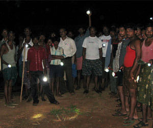 chhatisgarh_elephants_deaths