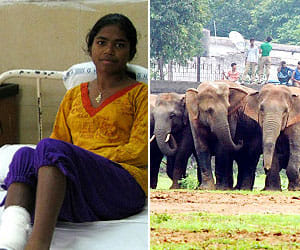 14 year_lady tarzan_jharkhand