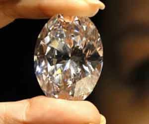 Diamond looted in alipure delhi