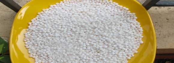 health benefits of eating sabudana during fast