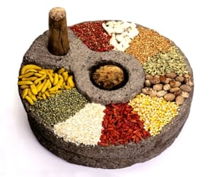 biological product of uttarakhand.