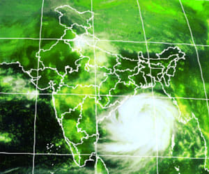 fenil will effect East up and bihar