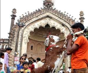 eid-ul-ajaha celebration