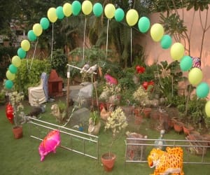 zoo in birthday party