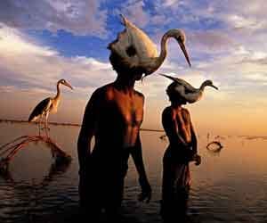 bird hunters of indus river
