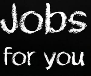 Advertise releases for CDS examination 2014