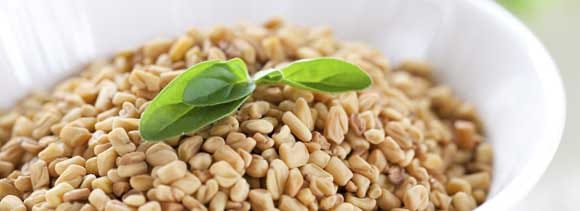 health benefits of fenugreek from libido to asthma relief