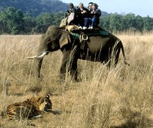 North India's largest zoo will be made in uttarakhand