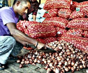 onion price 