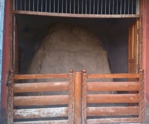 emperor ashoka shilalekh in kalsi