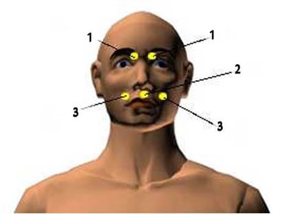 three acupressure points for nose bleeding