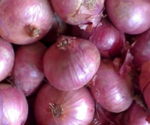 onion smell can trigger migraine