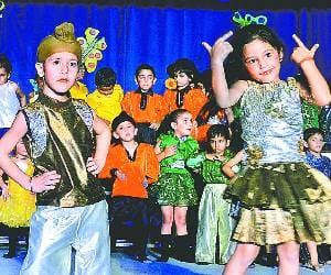Annual function of Guru Nanak Public School
