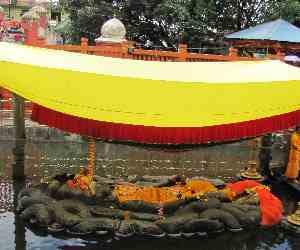 help for kailash mansarovar yatra