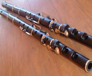 flute solo of aditi ravi