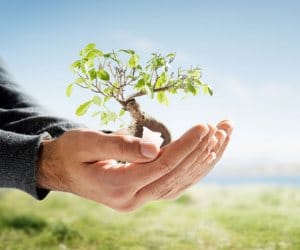 workshop on environment